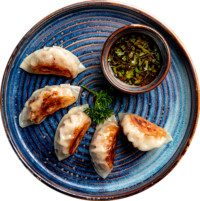 Gyozas | Distribuciones Monteverde